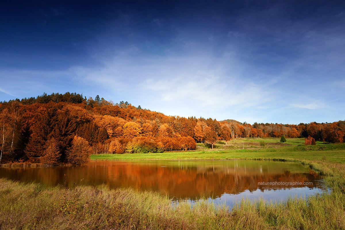 Vosges Automne