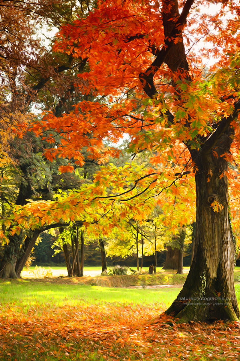 La danse des Couleurs