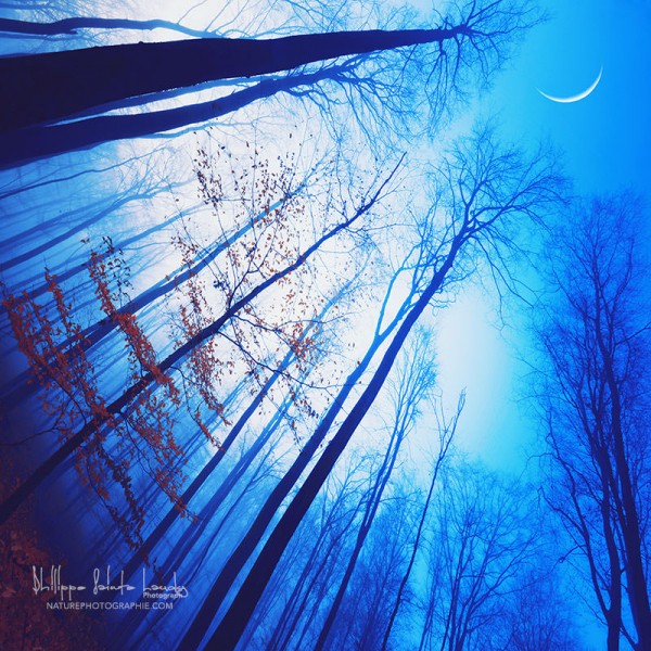 Lignes de fuite Lignes de fuite