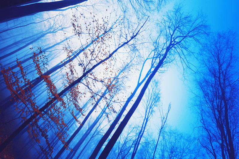 Lignes de fuite Lignes de fuite