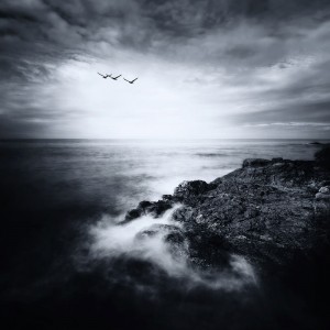 Bring Me Home Bring Me Home