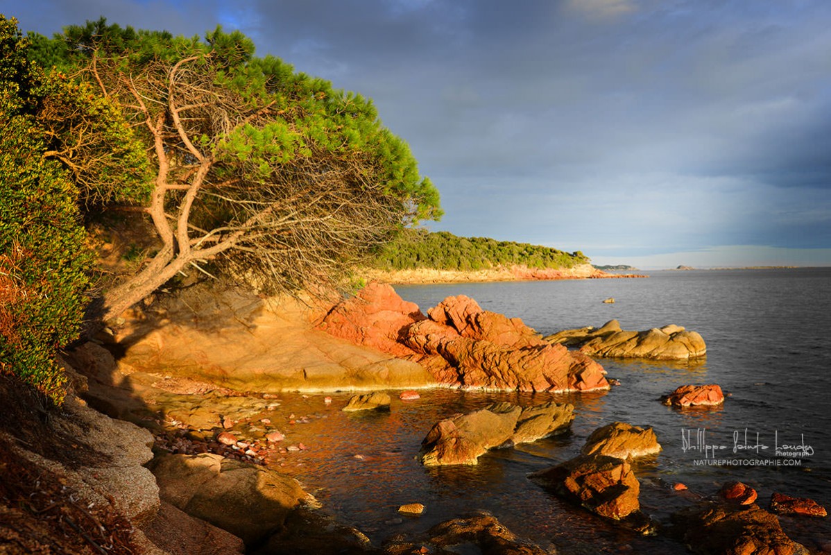 Corsica