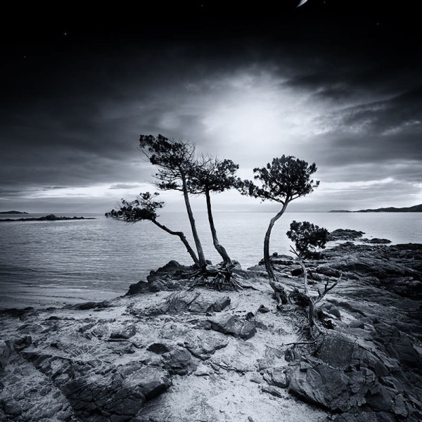 Emotional High Emotional High