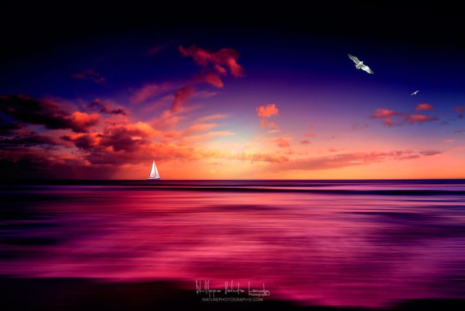 Any Colour You Like