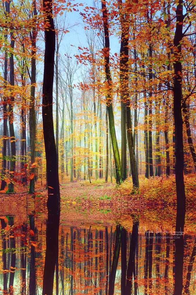 Miroir d’automne