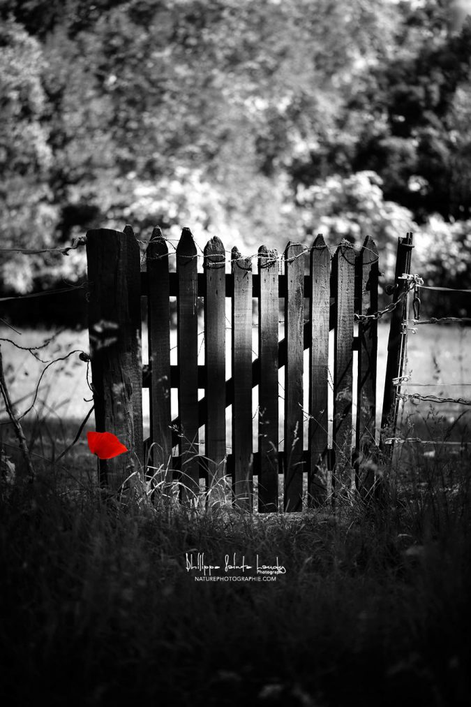 Détail rouge