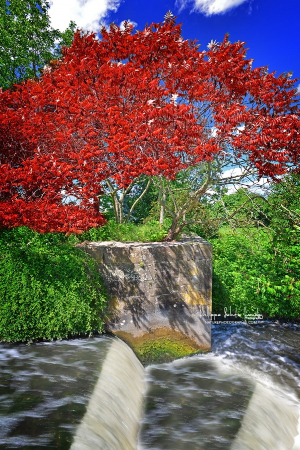 Le temps des couleurs