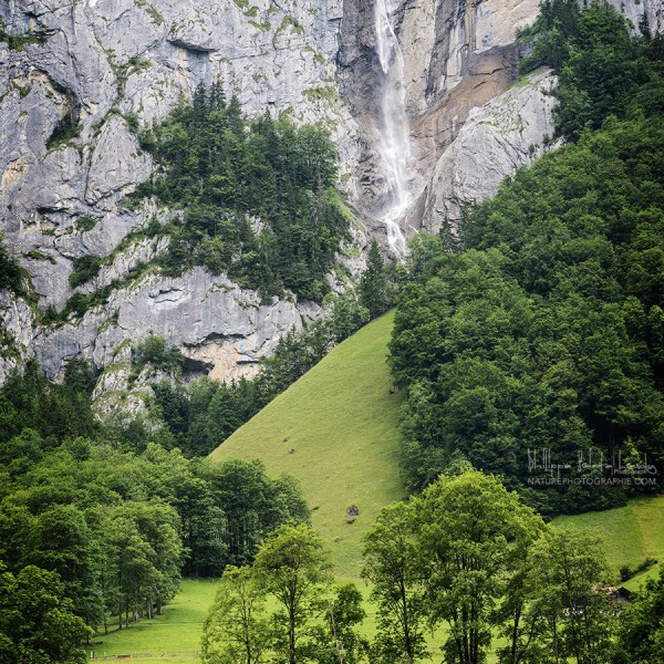 Cascade du Staubbach