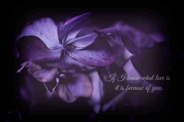 If I know what love is