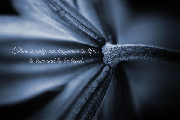 Only One Happiness in life