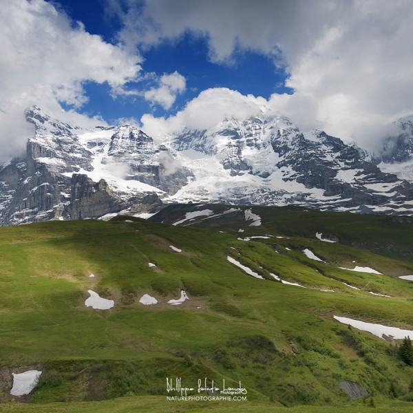 La Jungfrau depuis Kleine Scheidegg