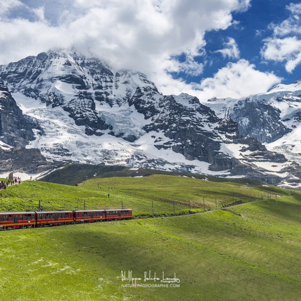 Le train de la Jungfrau
