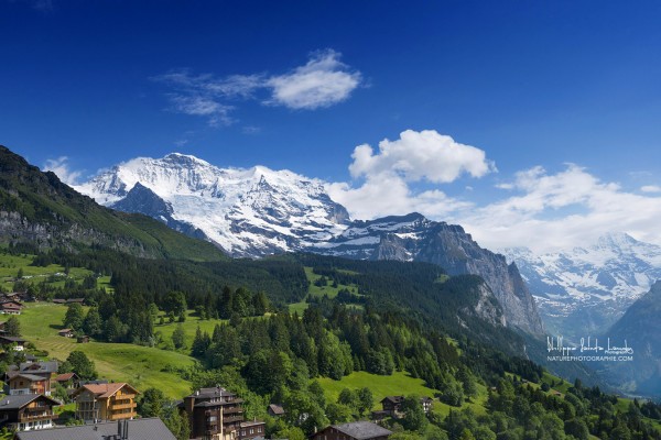 Sortie-photos-dans-la-Jungfrau