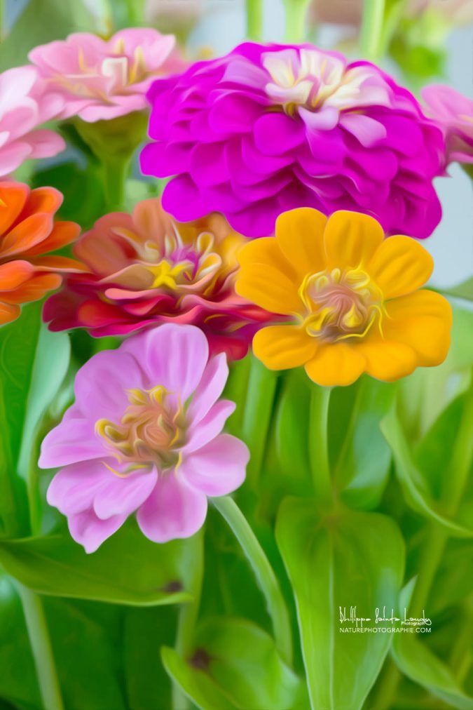 Pastel Puzzle