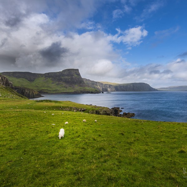 A Place with No Name
