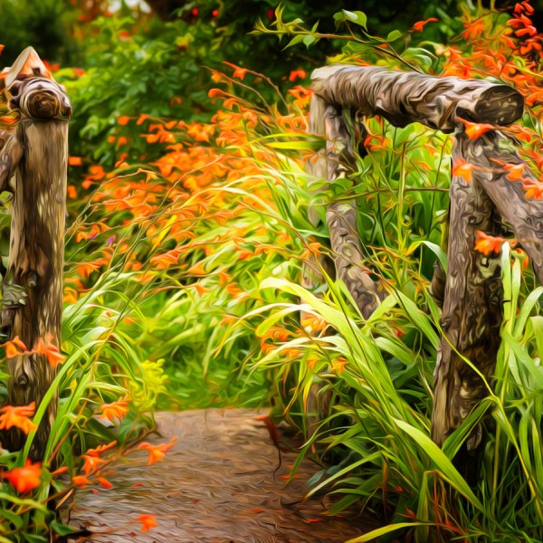 Colors of nature