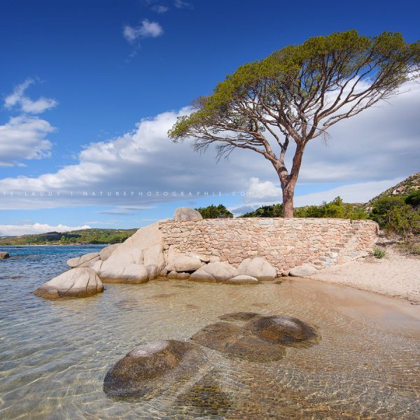 Corsica Beach