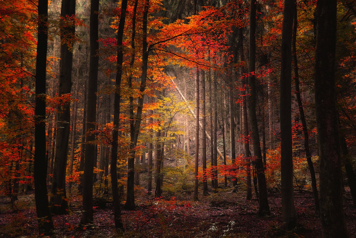 DSC_0084a