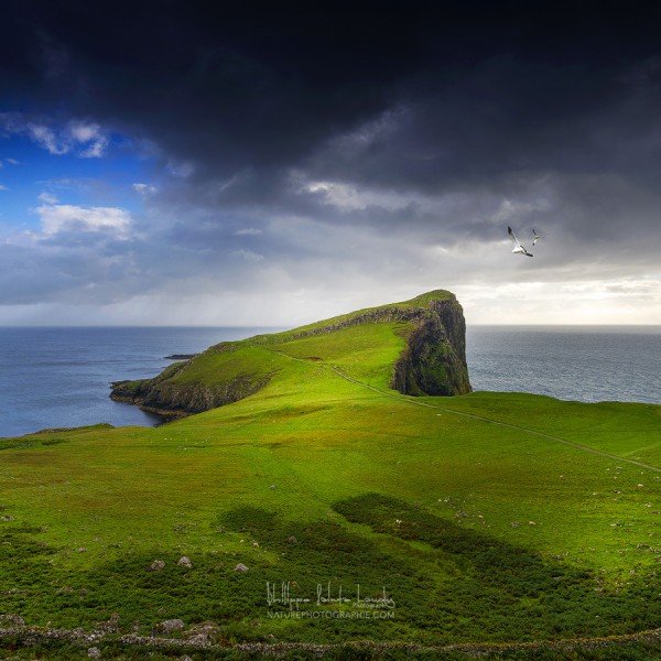 Green Ground Neist Point - Écosse