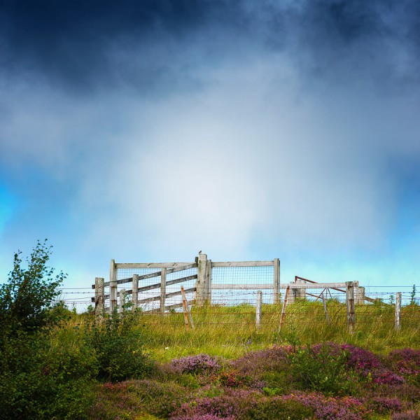 Nature’s Blanket