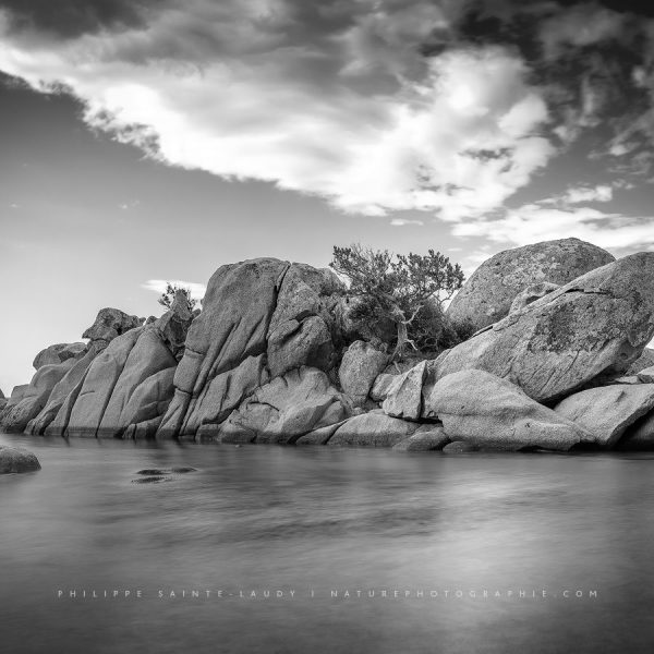 Stealing My Peace of Mind