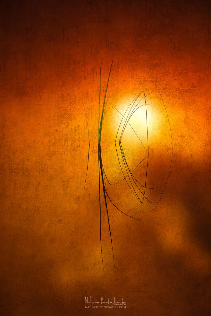 Reflet d'herbes et coucher de soleil sur un étang. Photo avec texture