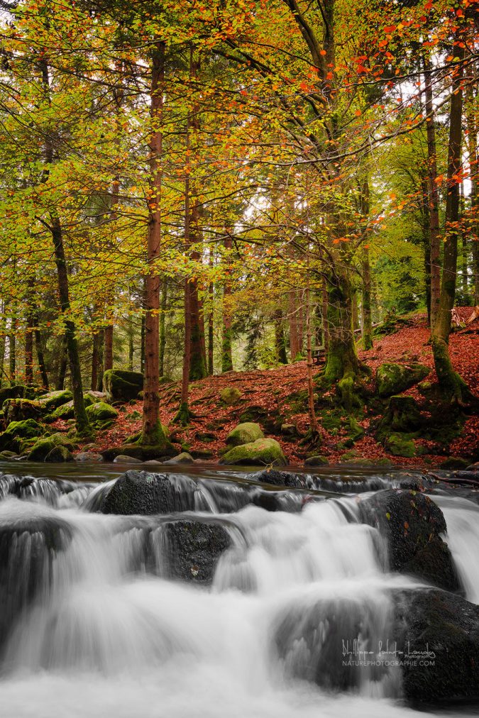 Le Saut des Cuves