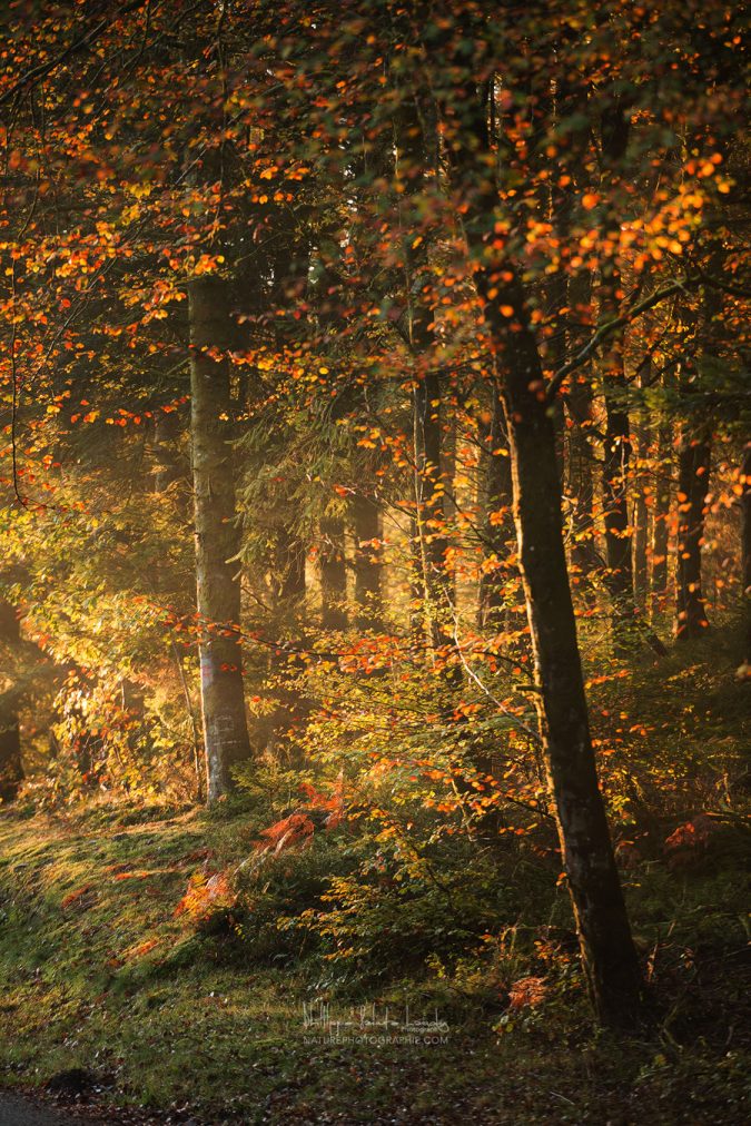 Some memories never fade