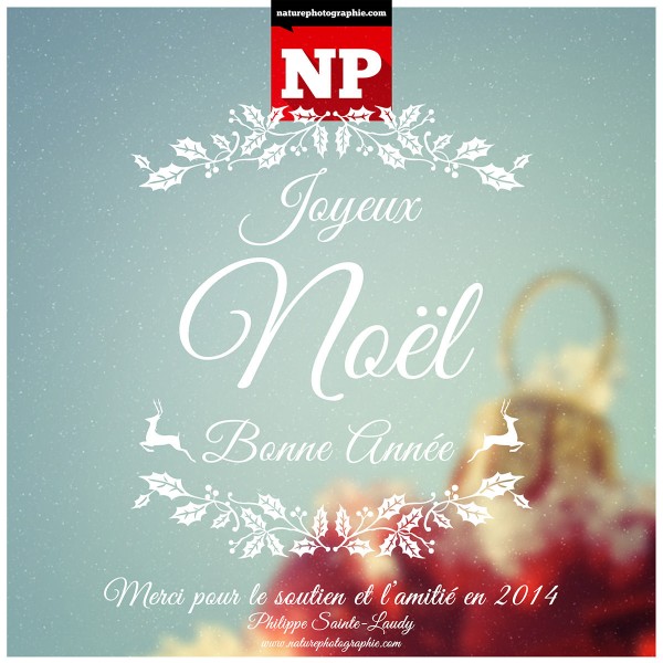 Joyeux-Noël