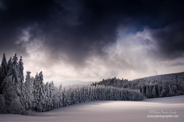 Blowin’ in the Wind