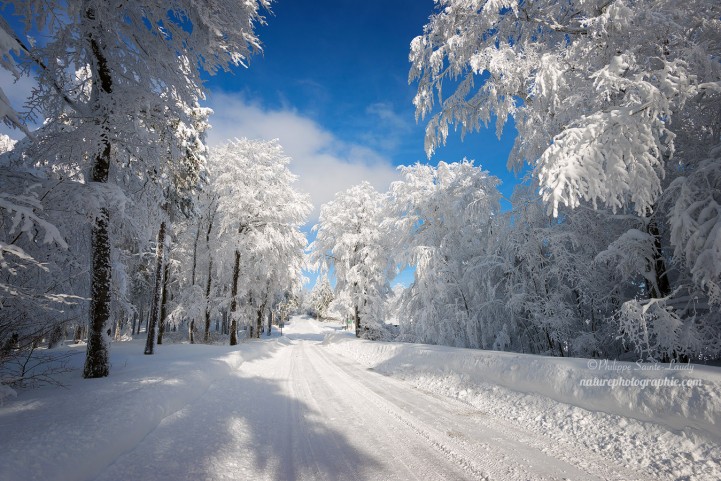Route enneigée dans les Vosges
