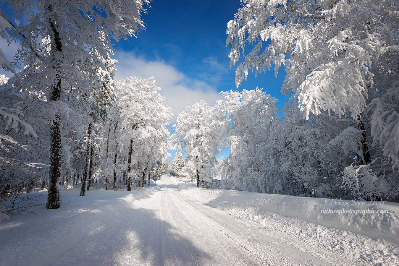 Route enneigée dans les Vosges