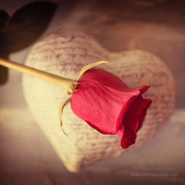 Happy Valentine’s Day