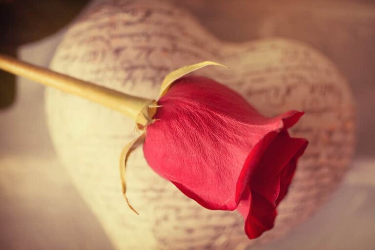 Happy Valentine’s Day