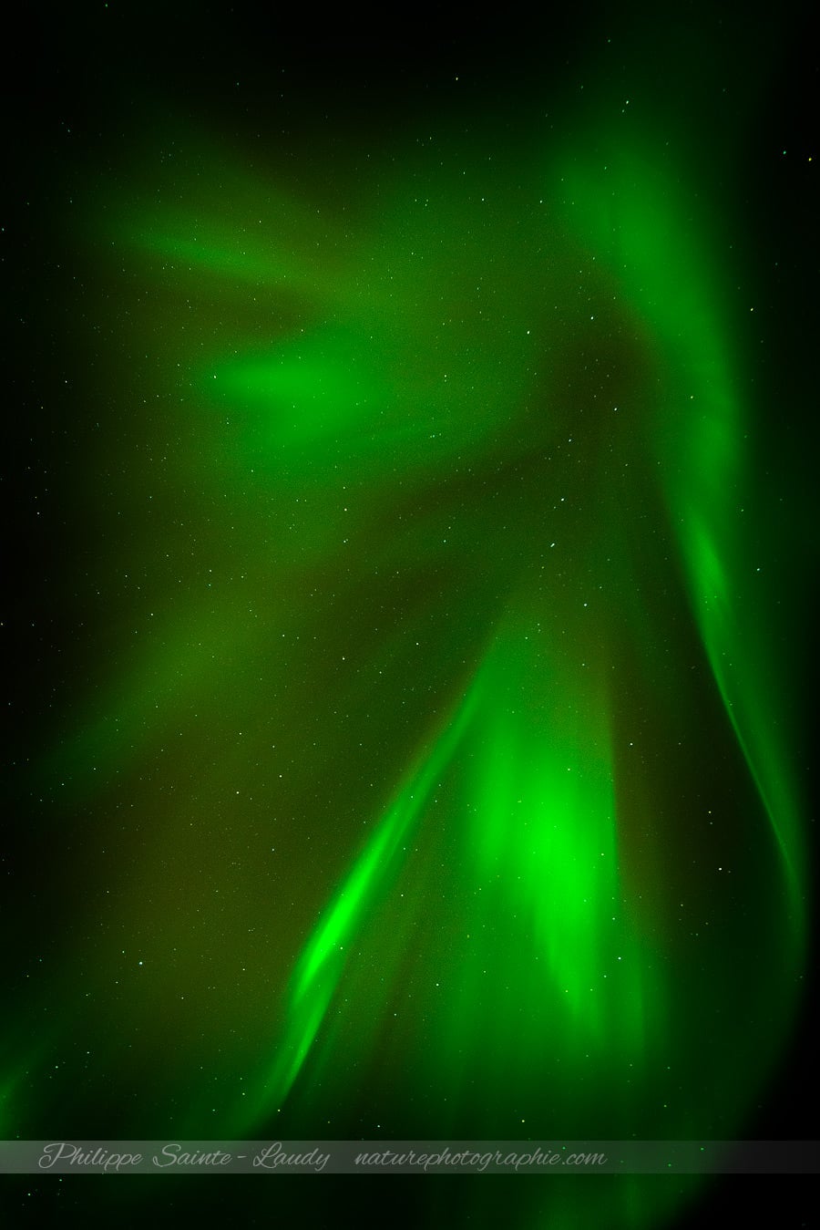 Aurore Boréale aux Lofoten