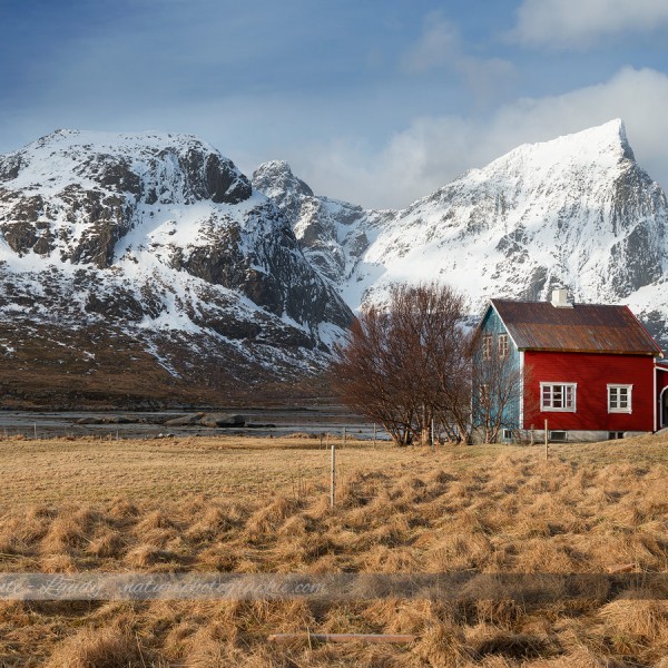 Believe It When You See It