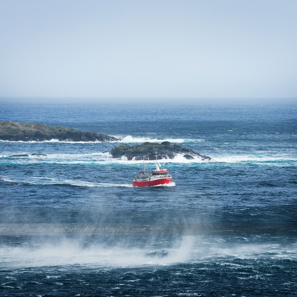 Get Back Home to You