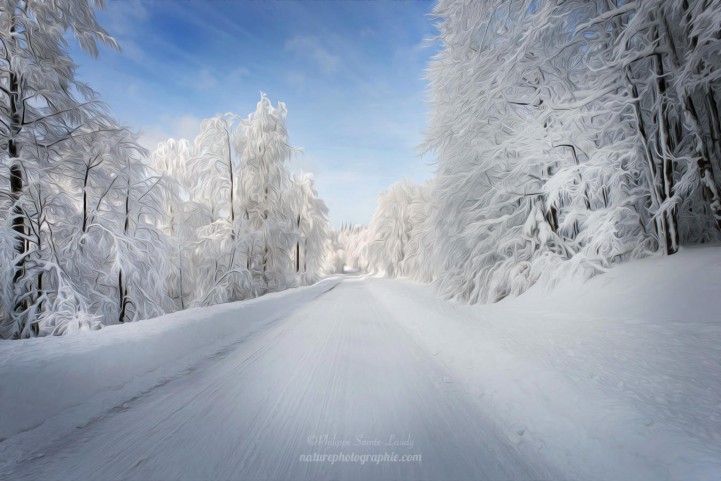 Les Vosges en hiver en paintographie