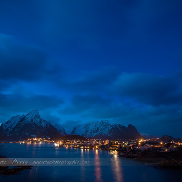 Reine by Night