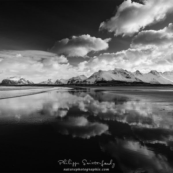 Searching The New Horizon