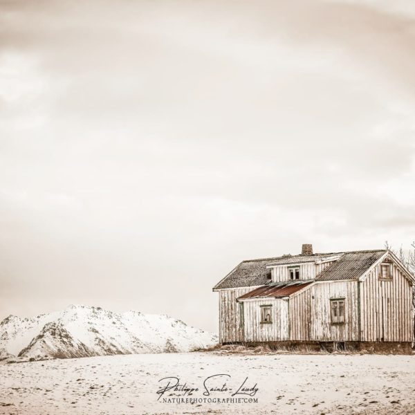 The House above the Fjord Rorbu au-dessus des fjords en Norvège