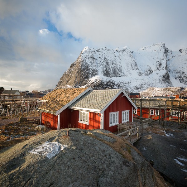 The rorbus Lofoten