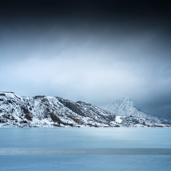 Dreaming The Same Dream