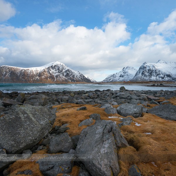 Get Back My Tomorrow