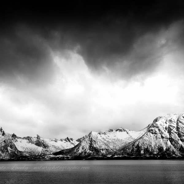 If You Change Your Mind