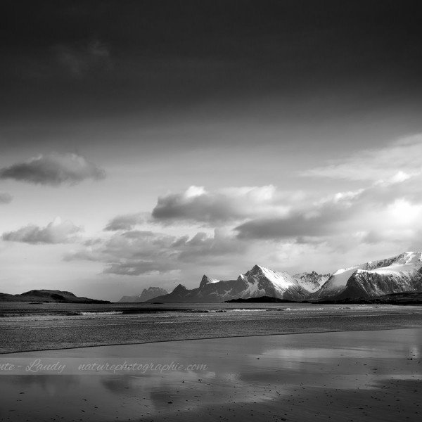 Postcards From Paradise