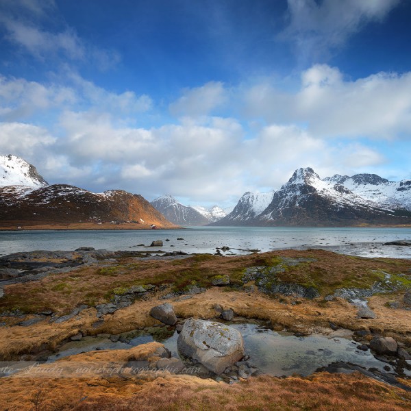 Reality of the Situation