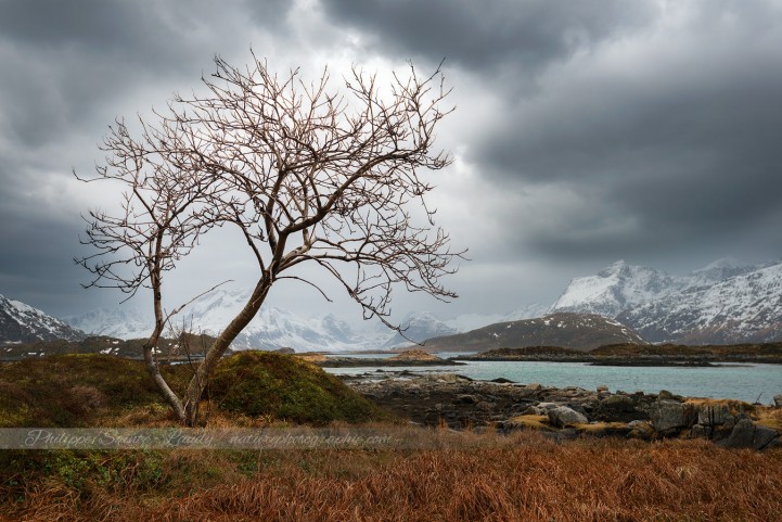 Paysage typique des Lofoten
