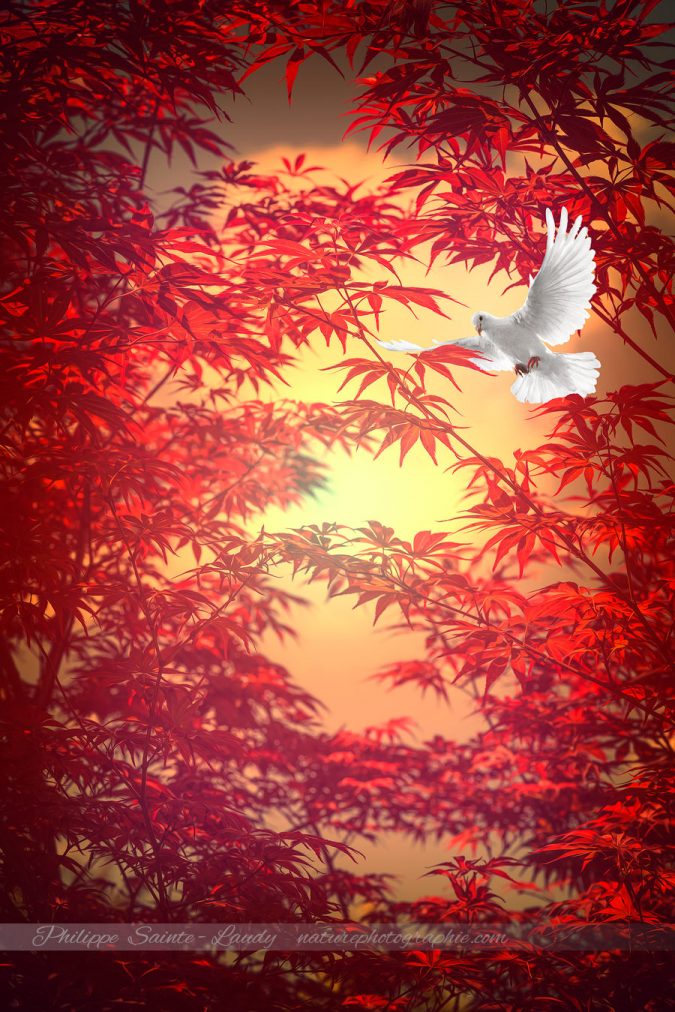 Light As A Feather