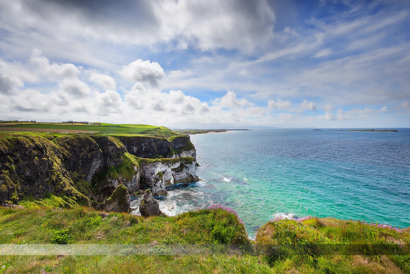 Les Carnets De Voyages De Nature Photographie Destination Irlande